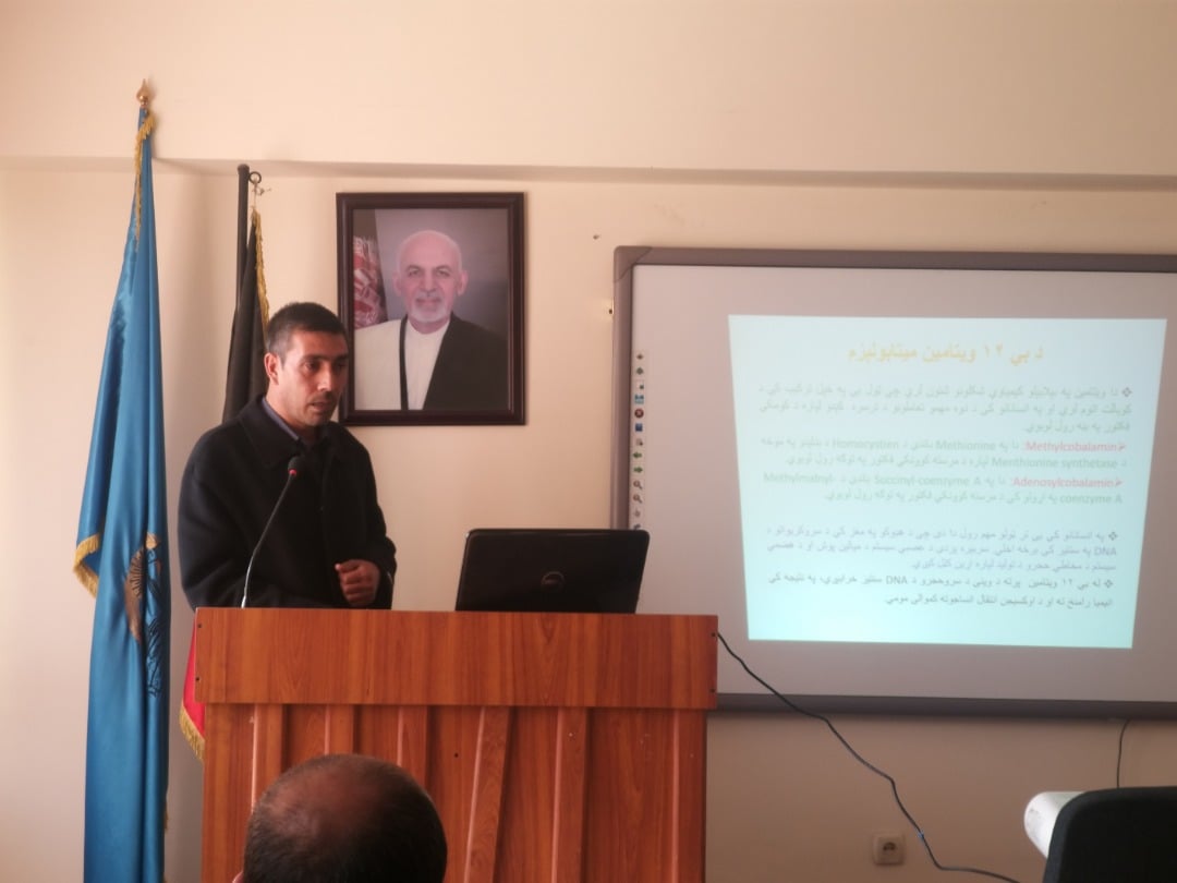 د میګالوبلاستیک کمخونۍ د عمده لاملونو، تشخیصیه او درملیزو میتودونو بررسي